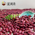 high quality dark red kidney bean DRKB RDKB SHANXI ORIGIN